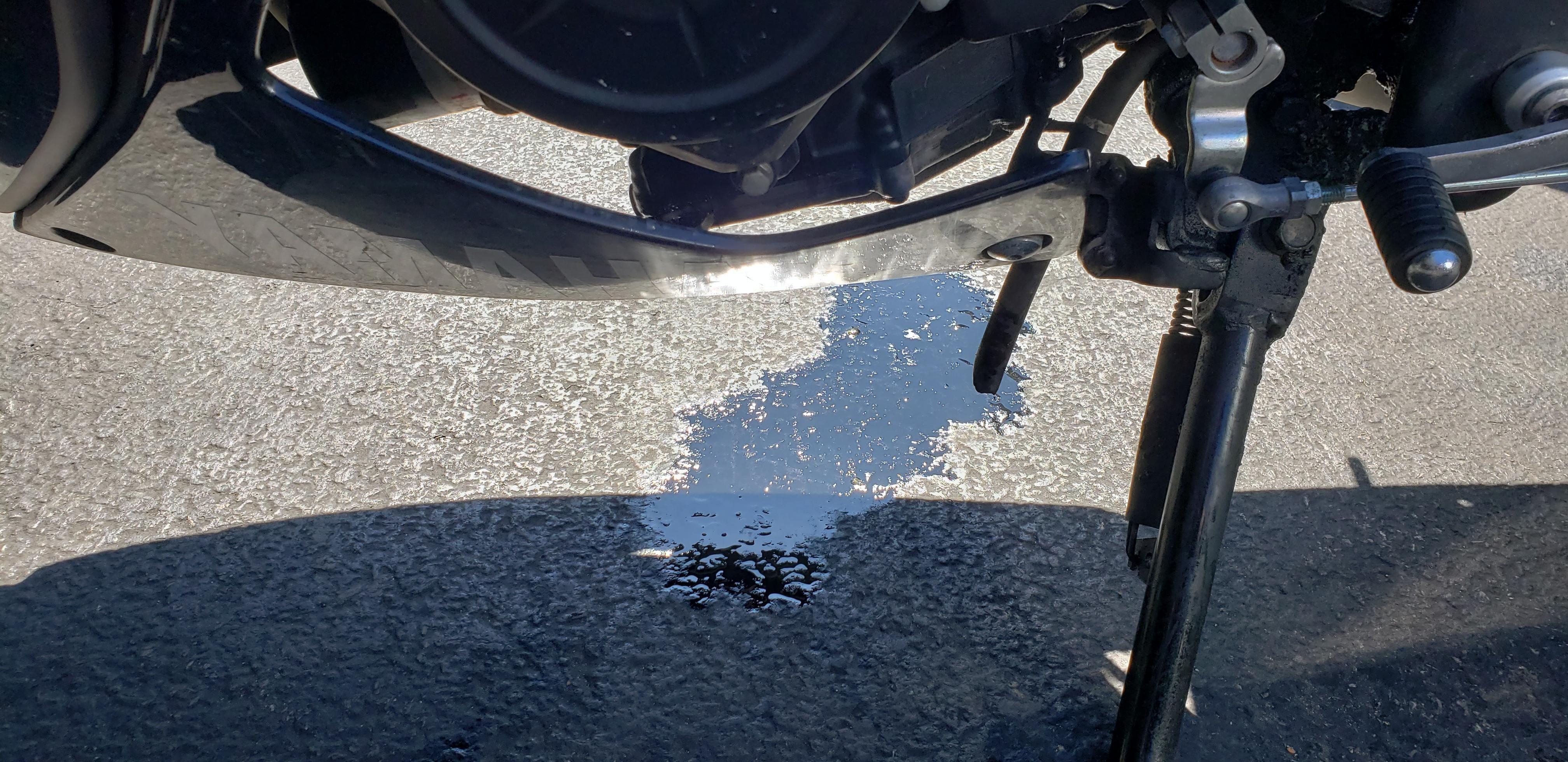 Bike leaking a good amount of oil | Yamaha R3 Forums